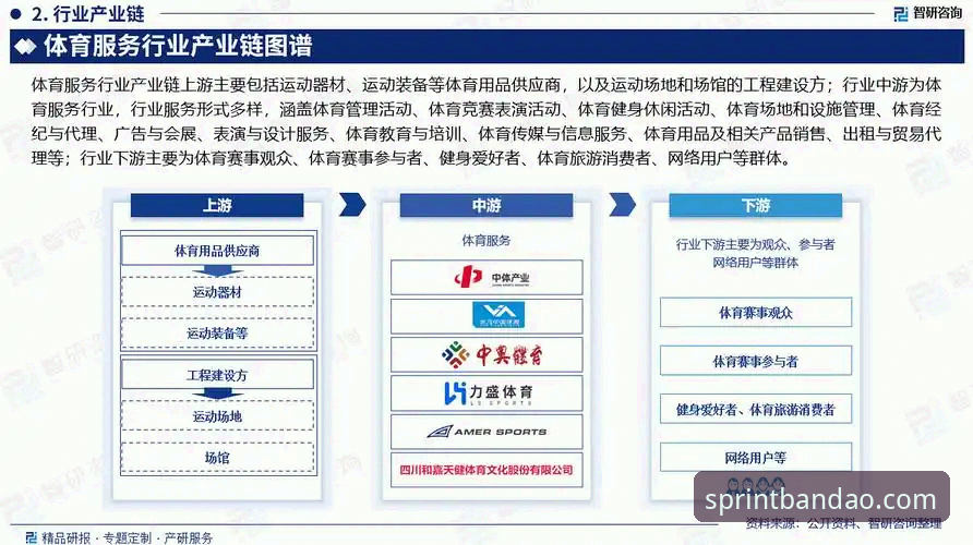 为什么半岛体育互动功能能改变观赛体验？从数据看体育平台的未来趋势